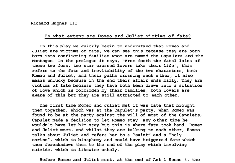Brooklyn cop essay help