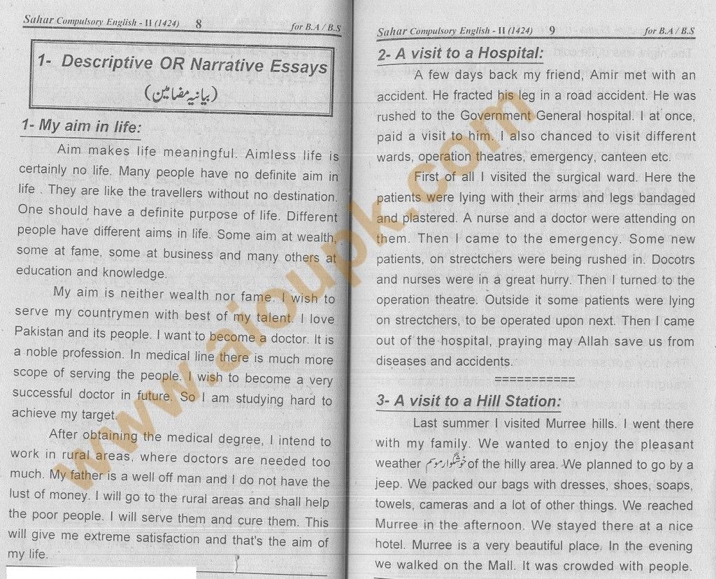 English essay help online free